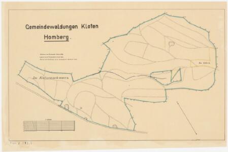 Kloten: Gemeindewaldungen: Homberg; Grundriss