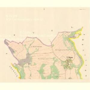 Zellejow - c9388-1-001 - Kaiserpflichtexemplar der Landkarten des stabilen Katasters