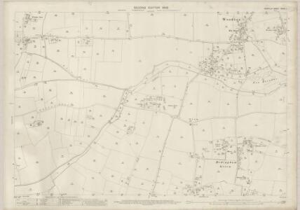 Norfolk XCVIII.1 (includes: Bedingham; Topcroft; Woodton) - 25 Inch Map